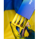 Набір пензлів для фарбування брів ZOLA UKRAINIAN EDITION