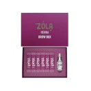 Набір хни ZOLA Henna Box 6 шт по 10 гр