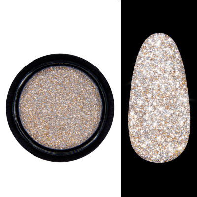 Світловідбивна втирка Designer Disco Powder №06