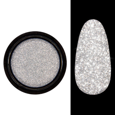 Світловідбивна втирка Designer Disco Powder №11
